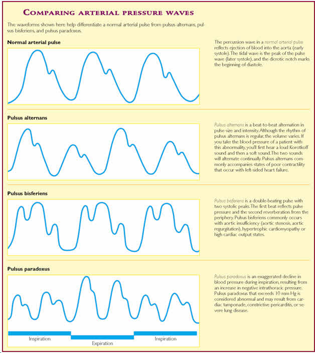 resting heart rate app